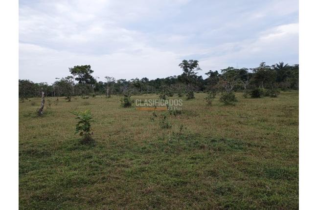 Fincas y Casas Campestres, Venta, Puerto Asis - $15.000.000.000