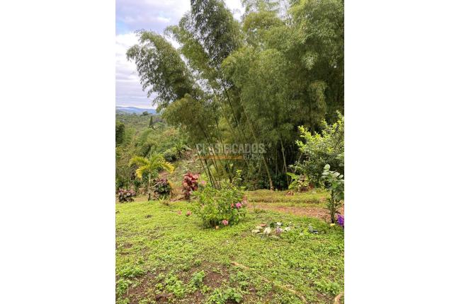 Fincas y Casas Campestres, Venta, Calima (Darién) - $450.000.000