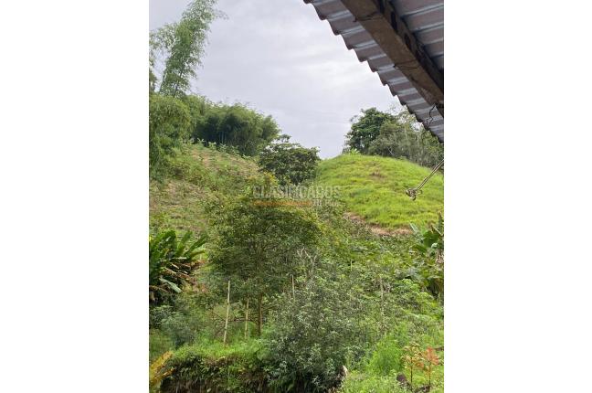 Fincas y Casas Campestres, Venta, Calima (Darién) - $450.000.000