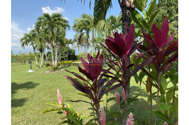 Fincas y Casas Campestres, Venta, Palmira - $2.100.000.000