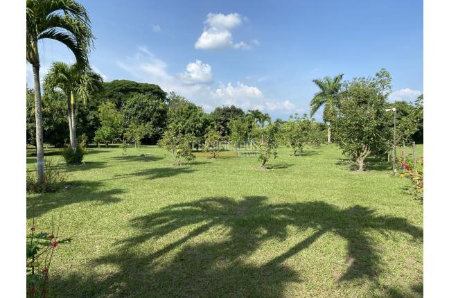 Fincas y Casas Campestres, Venta, Palmira - $2.100.000.000
