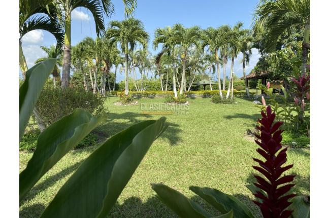 Fincas y Casas Campestres, Venta, Palmira - $2.100.000.000