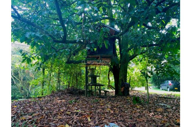 Lotes, Venta en Colinas de Miravalle