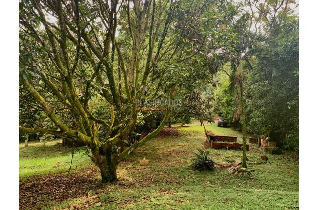 Lotes, Venta, Colinas de Miravalle - $280.000.000