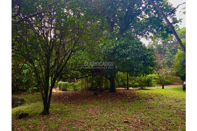 Lotes, Venta, Colinas de Miravalle - $280.000.000