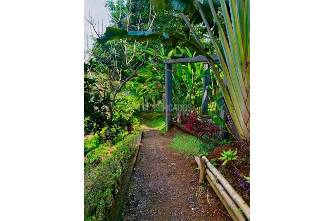 Lotes, Venta, Colinas de Miravalle - $280.000.000