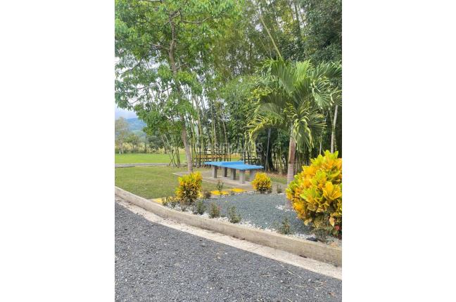 Fincas y Casas Campestres, Venta, Calima (Darién) - $580.000.000