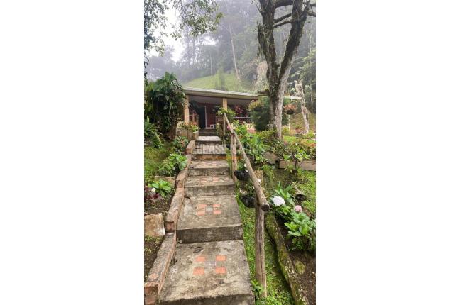 Fincas y Casas Campestres, Venta, La Elvira - $510.000.000