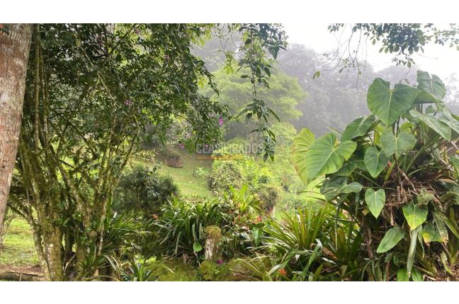 Fincas y Casas Campestres, Venta, La Elvira - $510.000.000