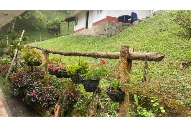 Fincas y Casas Campestres, Venta, La Elvira - $510.000.000