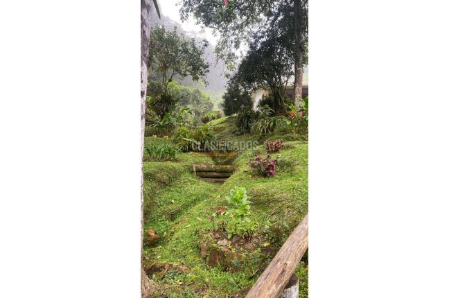 Fincas y Casas Campestres, Venta, La Elvira - $510.000.000