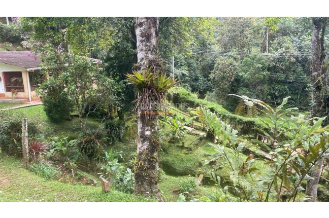 Fincas y Casas Campestres, Venta, La Elvira - $510.000.000