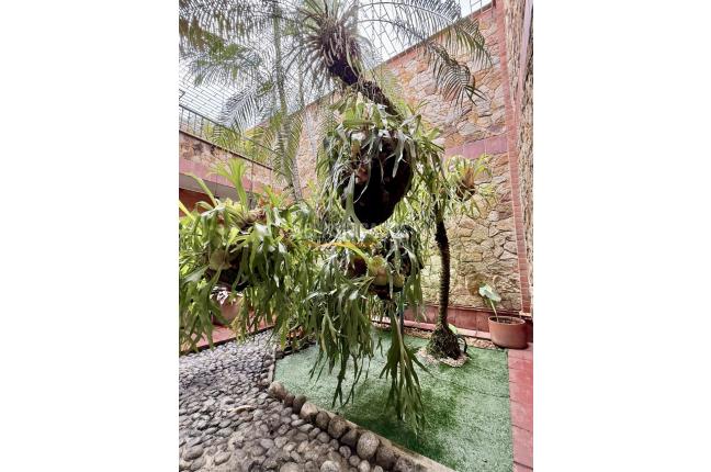 Casas, Venta, El Ingenio - $1.200.000.000