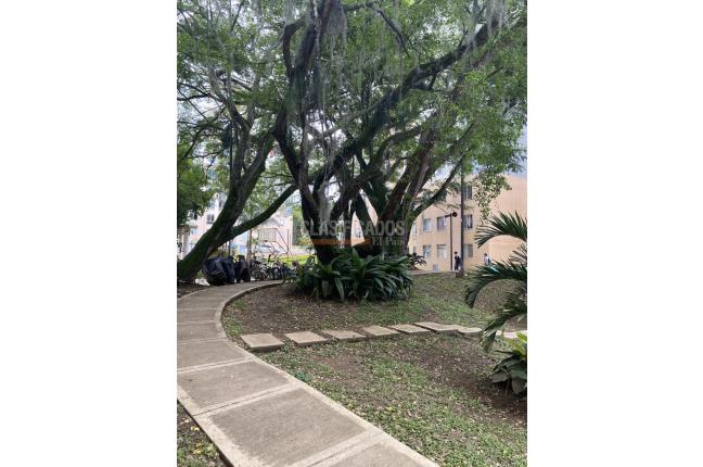 Apartamentos, Venta, Aguacatal - $205.000.000