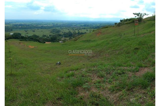 Lotes, Venta, El Cerrito - $667.500.000