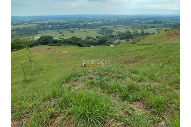 Lotes, Venta, El Cerrito - $667.500.000