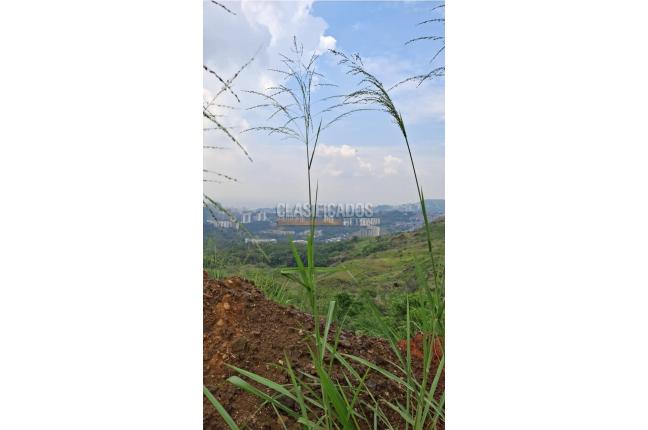 Lotes, Venta, Cristo Rey - $2.000.000.000