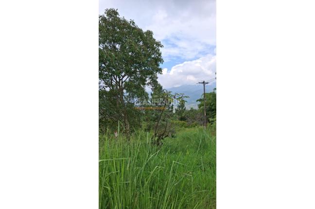 Lotes, Venta, Cristo Rey - $2.000.000.000