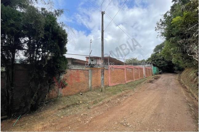 Fincas y Casas Campestres, Venta, Felidia - $600.000.000