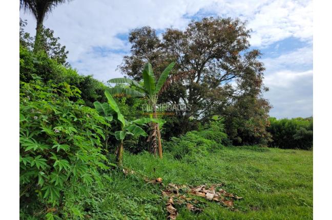 Casas, Venta, Jamundí - $390.000.000