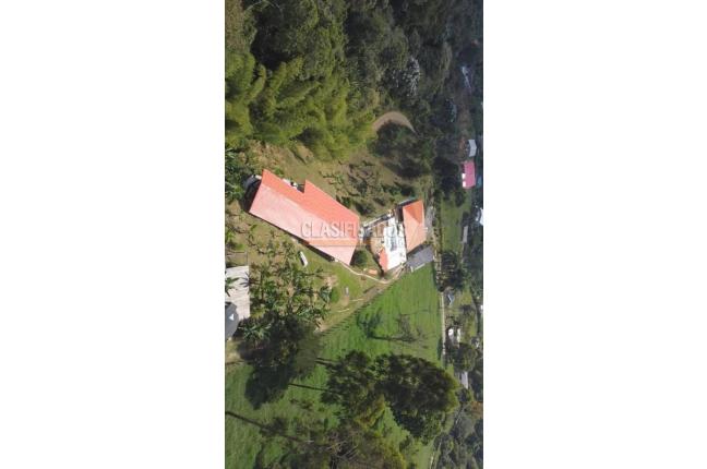 Fincas y Casas Campestres, Venta, Palmira - $1.490.000.000