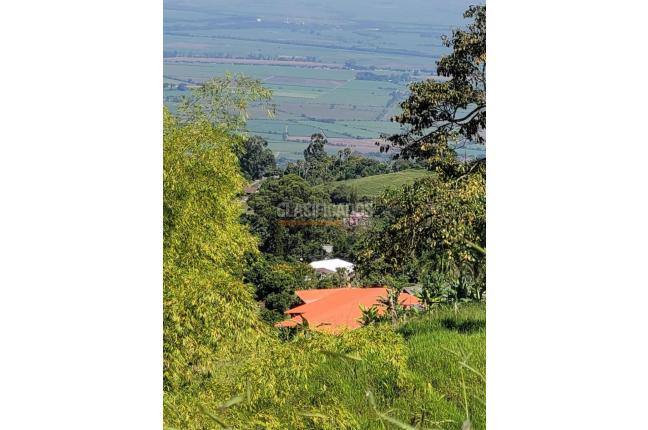 Fincas y Casas Campestres, Venta, Palmira - $1.490.000.000