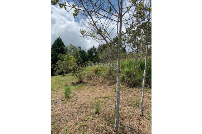 Lotes, Venta, Dagua - $200.000.000