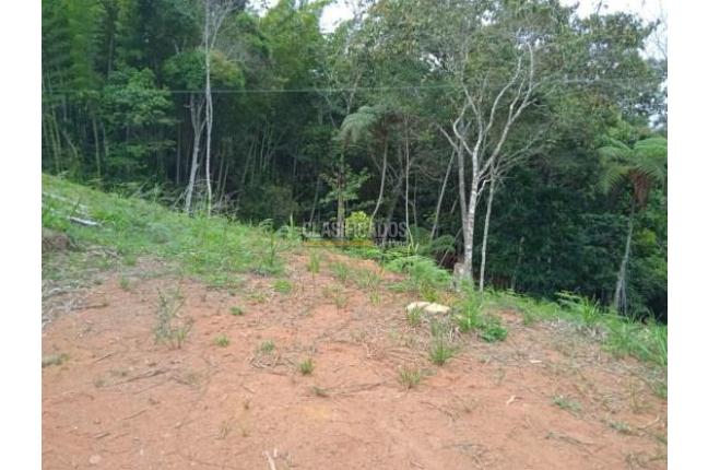 Lotes, Venta, Dagua - $138.000.000