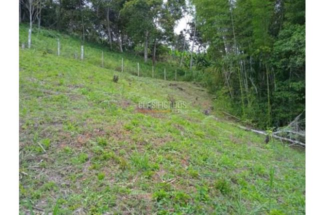 Lotes, Venta, Dagua - $138.000.000