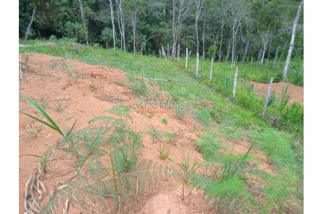 Lotes, Venta, Dagua - $138.000.000