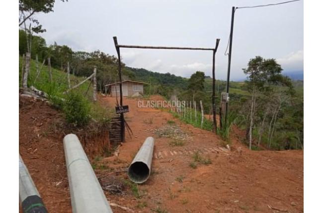 Lotes, Venta, Dagua - $138.000.000