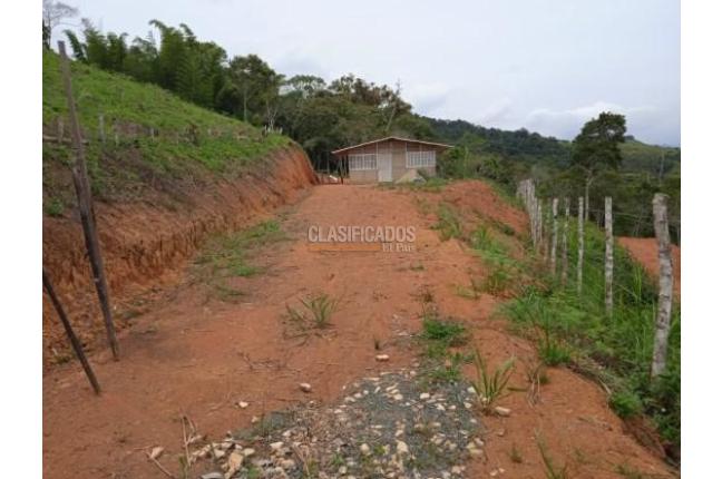Lotes, Venta, Dagua - $138.000.000