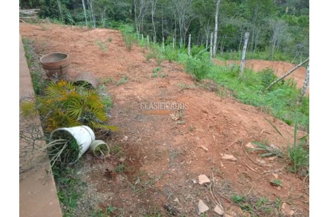 Lotes, Venta, Dagua - $138.000.000