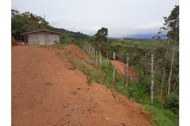 Lotes, Venta, Dagua - $138.000.000