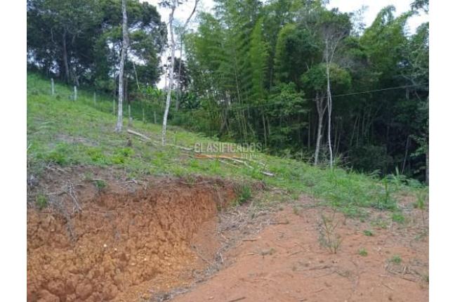 Lotes, Venta, Dagua - $138.000.000