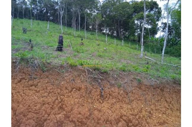 Lotes, Venta, Dagua - $138.000.000