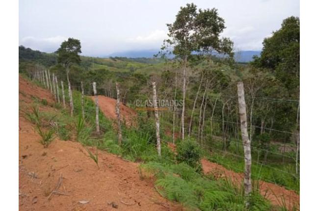 Lotes, Venta, Dagua - $138.000.000