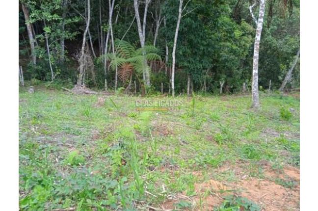 Lotes, Venta, Dagua - $138.000.000