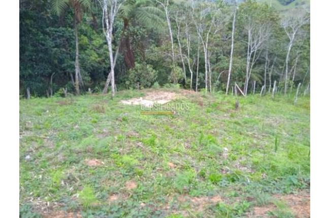 Lotes, Venta, Dagua - $138.000.000