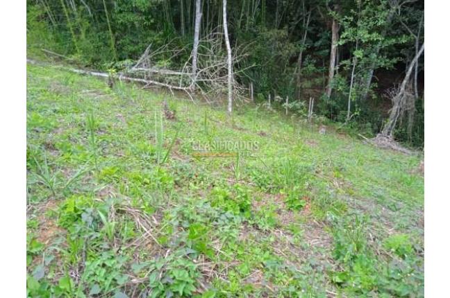 Lotes, Venta en Dagua