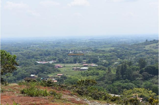 Lotes, Venta, Jamundí - $460.000.000