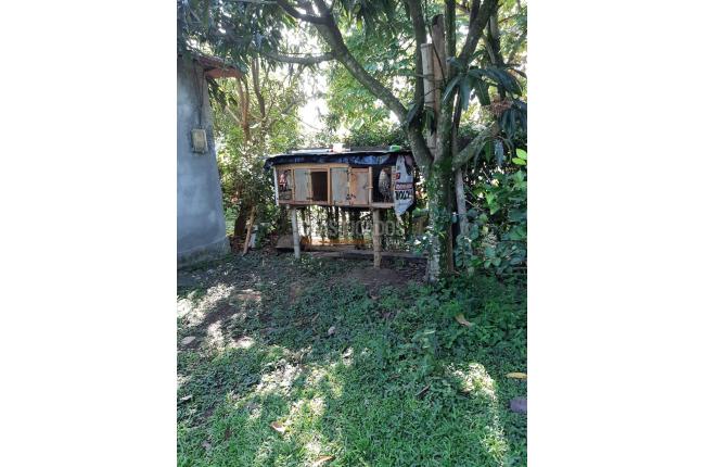 Fincas y Casas Campestres, Venta en Santander de Quilichao