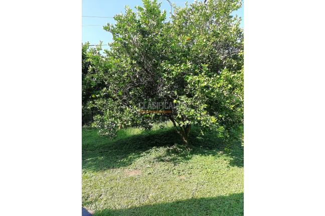 Fincas y Casas Campestres, Venta, Santander de Quilichao - $110.000.000