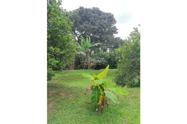 Fincas y Casas Campestres, Venta, Santander de Quilichao - $110.000.000