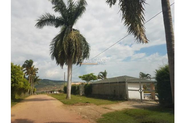 Lotes, Venta en Calima (Darién)