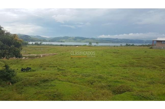 Lotes, Venta, Calima (Darién) - $120.000.000