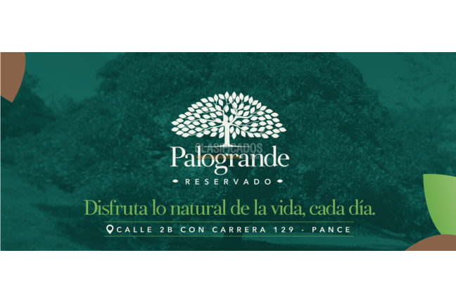 Lotes, Venta en Pance