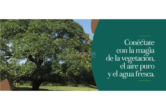 Lotes, Venta, Pance - $1.700.000.000