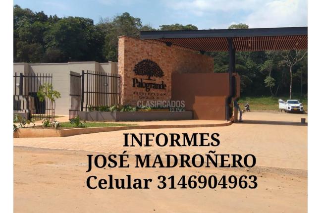 Lotes, Venta, Pance - $1.700.000.000