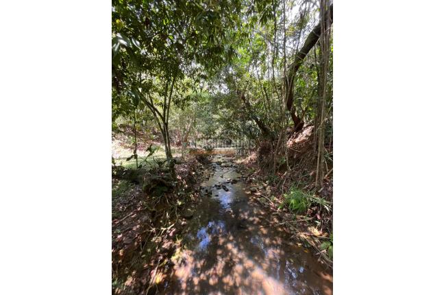 Lotes, Venta, Pance - $1.700.000.000